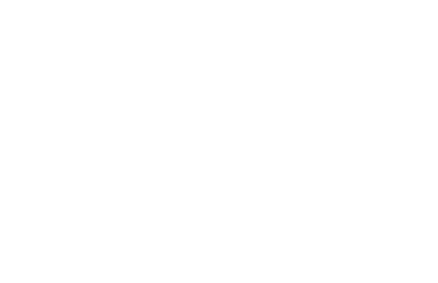eve.ai